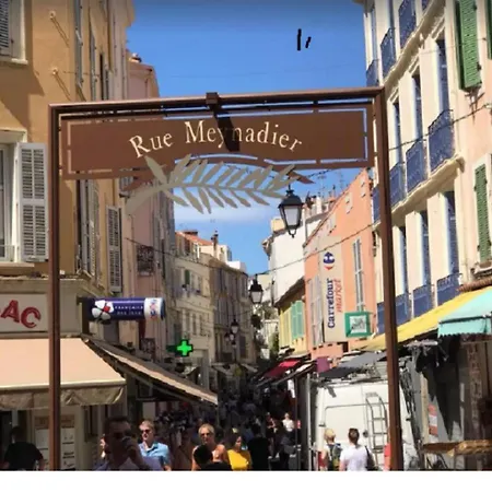 Renove En Rez De Jardin Climatise Apartment Cannes
