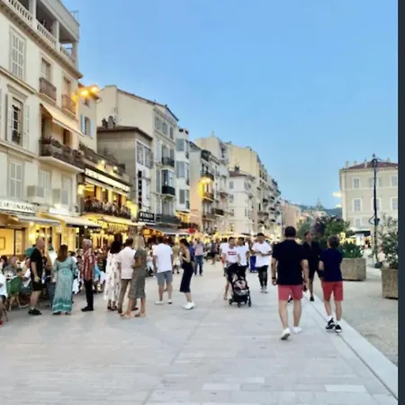 Renove En Rez De Jardin Climatise Apartment Cannes