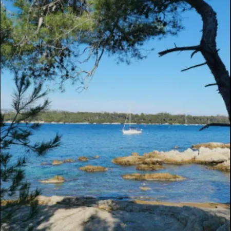 Apartment Renove En Rez De Jardin Climatise Cannes